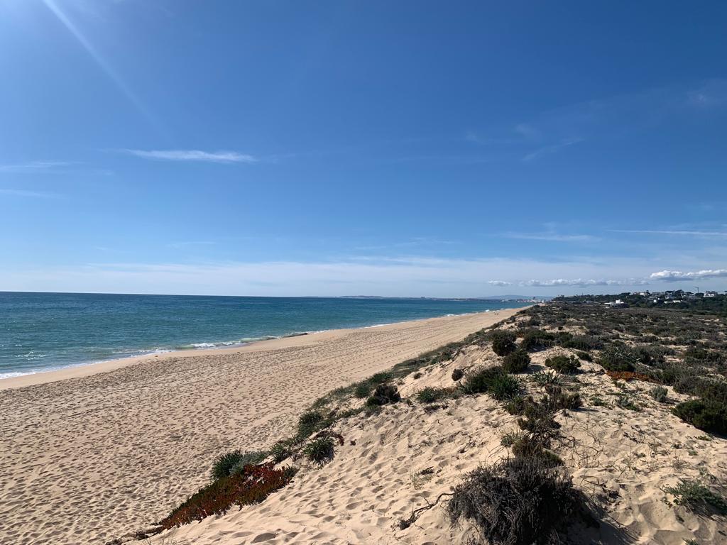Coastal Algarve - a golden sandy beach on a sunny day.